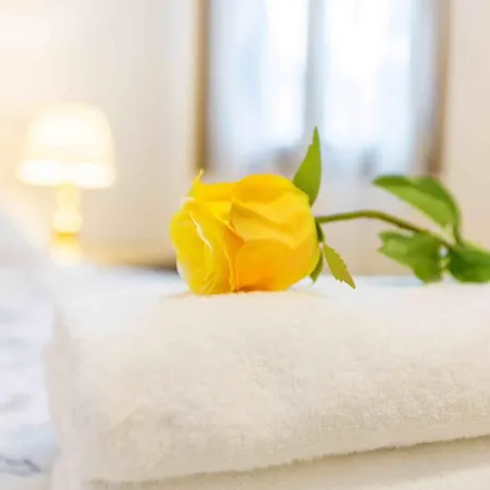 Apartment Ca Cicogna Air Conditioning And Fast Wifi, Central Location Apartment Venice